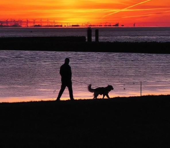 sunset_dogwalk